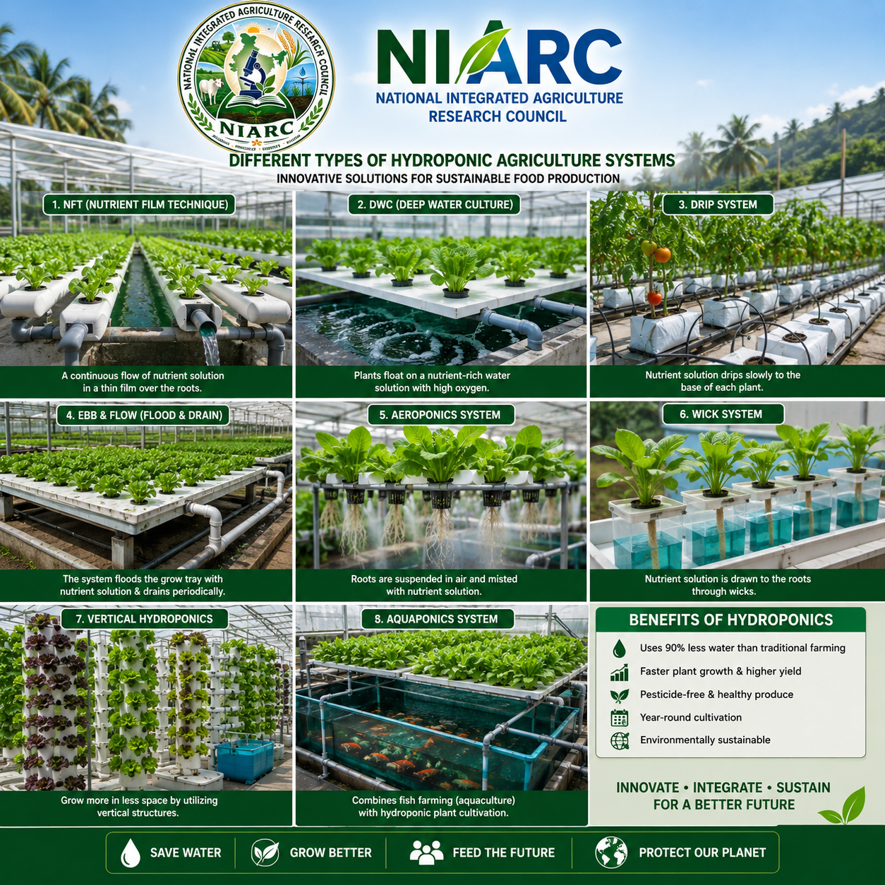 Hydroponic Agriculture